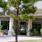 Silverado Senior Living - The Woodlands