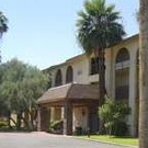 Emeritus at Olive Grove