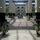 Holiday at the Atrium