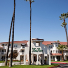 The Palms