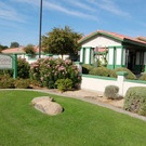 Emeritus at Mesa