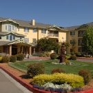 Vineyard Commons