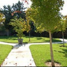 Emeritus at Austin Gardens