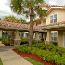 Windward Palms