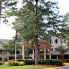 Indigo Pines