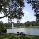 Lake Port Square