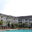 Palms of Lake Spivey