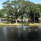 Woodlands Village