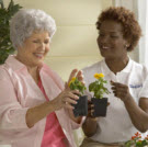 Senior Helpers - FL - Hollywood