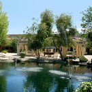 The Madison